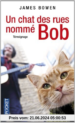 Un chat des rues nommé Bob